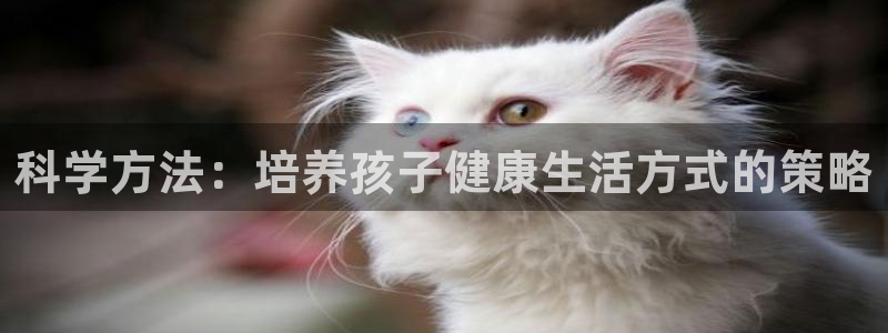三亿体育网页版：科学方法：培养孩子健康生活方式的策略