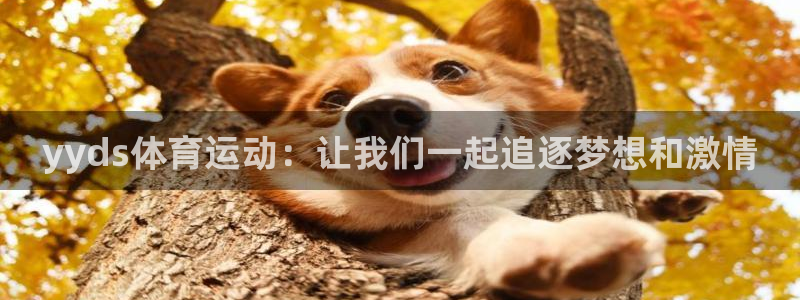 三亿体育网：yyds体育运动：让我们一起追逐梦想和激情