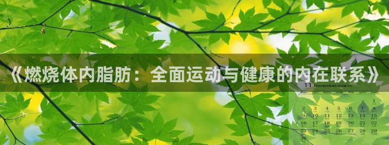 三亿体育网：《燃烧体内脂肪：全面运动与健康的内在联系》