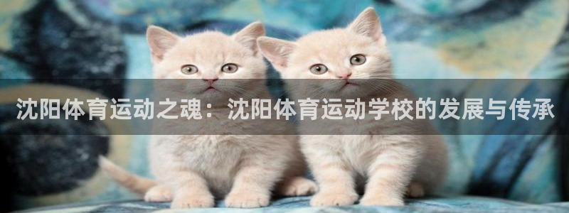 三亿体育：沈阳体育运动之魂：沈阳体育运动学校的发展与传承