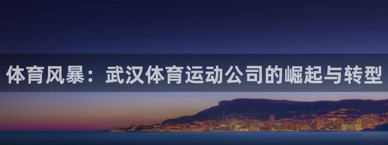 三亿体育：体育风暴：武汉体育运动公司的崛起与转型