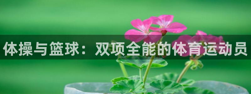 三亿体育网：体操与篮球：双项全能的体育运动员