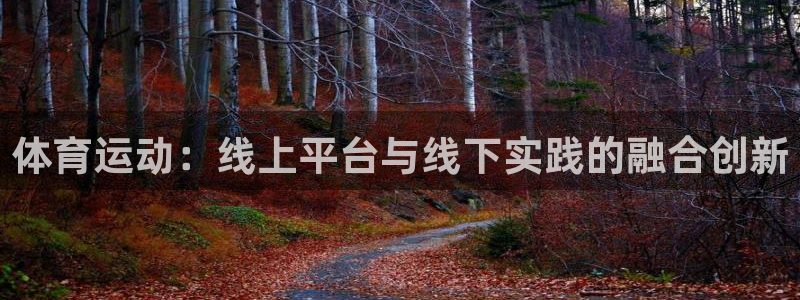 三亿体育网：体育运动：线上平台与线下实践的融合创新