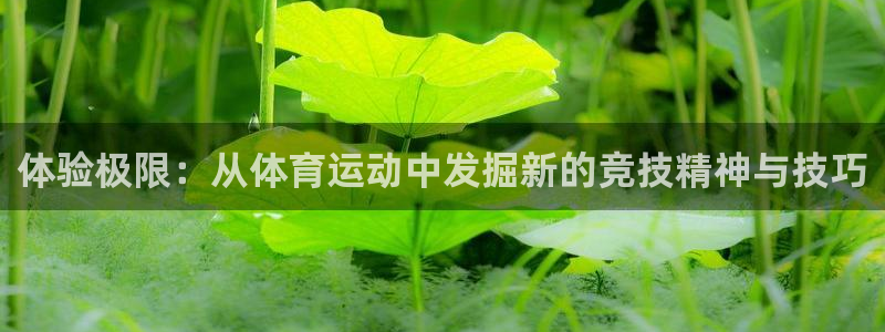 三亿体育登录：体验极限：从体育运动中发掘新的竞技精神与技巧