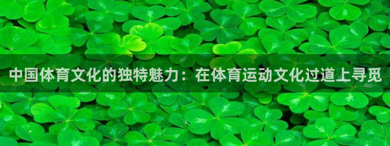 三亿体育登录：中国体育文化的独特魅力：在体育运动文化过道上寻觅