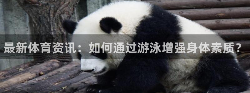 三亿体育登录：最新体育资讯：如何通过游泳增强身体素质？