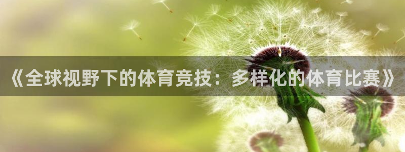 三亿体育网：《全球视野下的体育竞技：多样化的体育比赛》